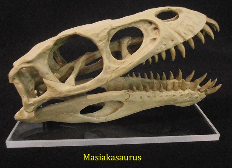 masiakasaurus