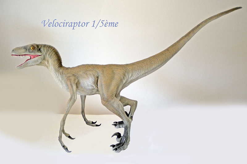 Maquette de dinosaure vélociraptor à l'échelle 1/5e peinte gris clair à l'aérographe