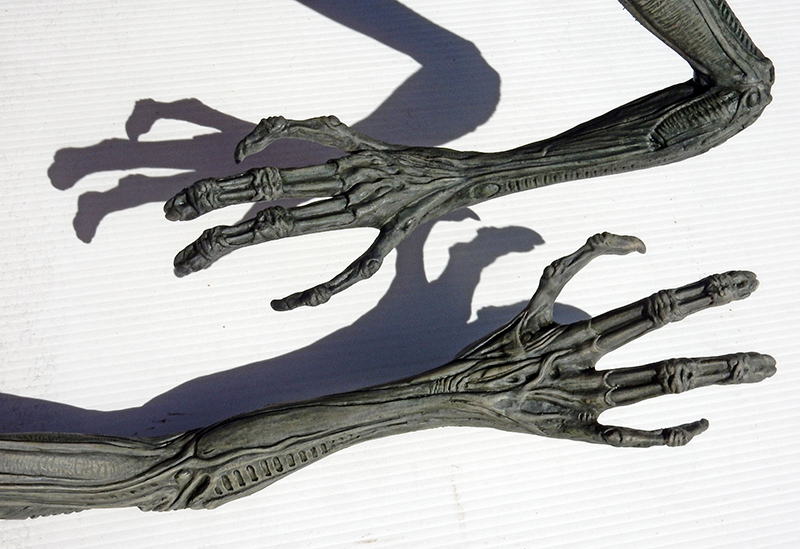 Bras et mains squelettiques de la maquette Alien projetant leur ombre sur fond blanc