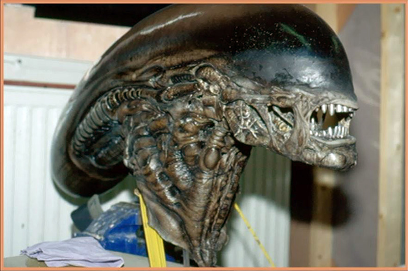 Buste de la créature Alien 3 peint, tête allongée et mâchoires dentées, vue de profil