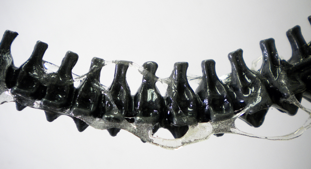 Gros plan sur la queue segmentée noire de la reine Alien, filaments de bave translucide