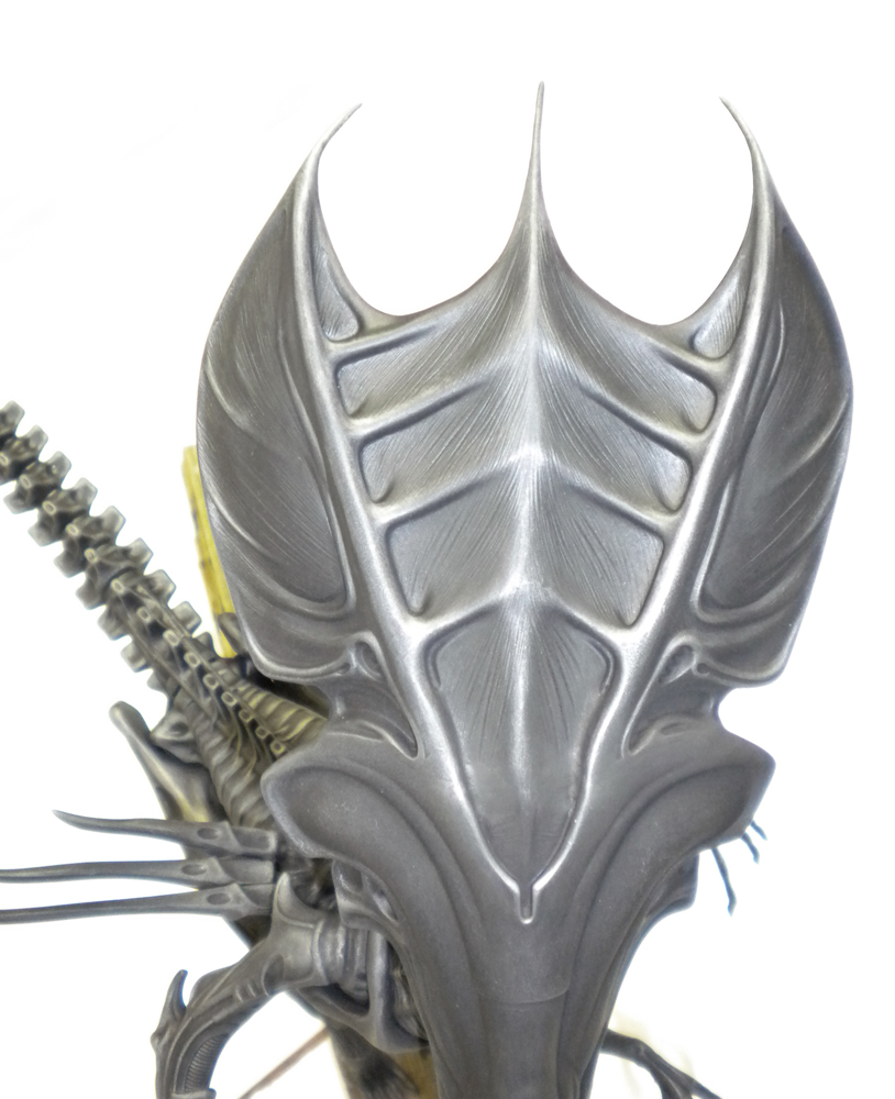 Crâne couronné de la maquette reine Aliens vu de face, peinture métallisée sur fond blanc