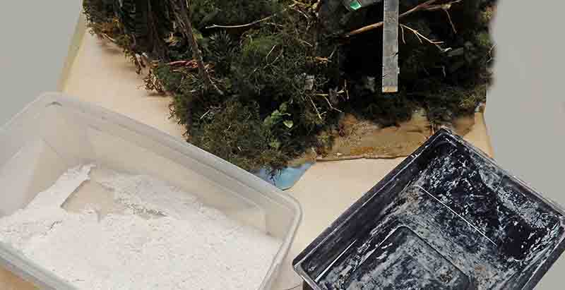 Diorama de végétation luxuriante en restauration avec bac de plâtre blanc et récipient de peinture