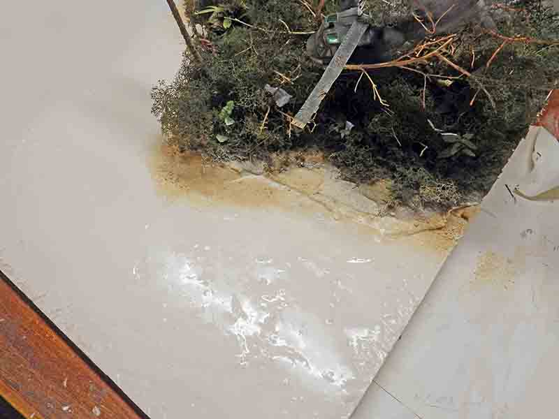 Bord de diorama en restauration avec végétation et surface d'eau résinée en cours de réfection