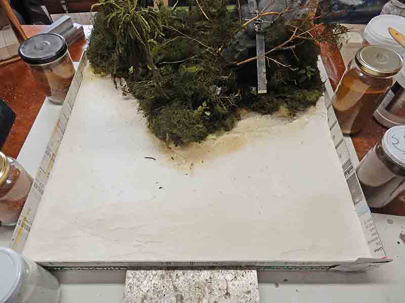 Diorama en cours de restauration avec socle plâtré blanc et végétation de mousse à l'arrière