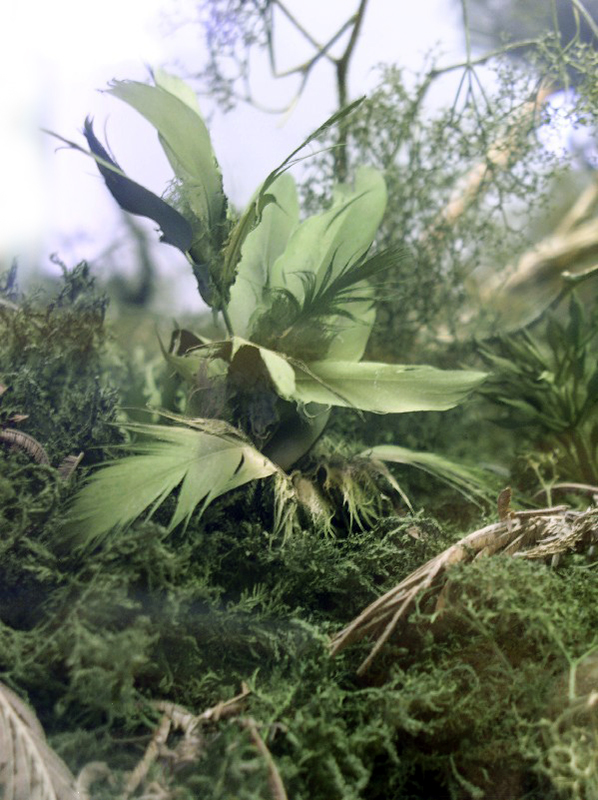 Palmier miniature entouré de mousse et de végétation luxuriante dans un diorama de jungle tropicale