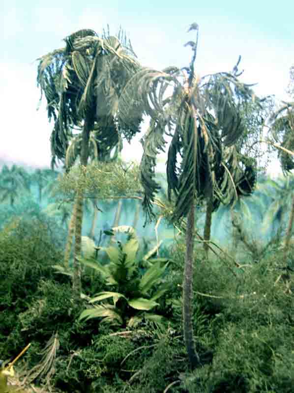Diorama de jungle tropicale avec palmiers miniatures et végétation luxuriante sous un ciel bleu