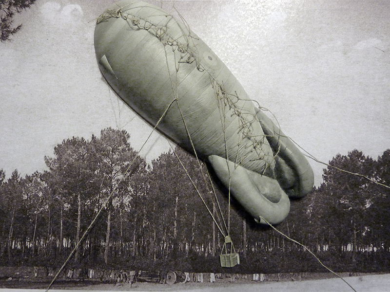 Ballon d'observation militaire de 1917 retenu par des câbles au-dessus d'une forêt de pins