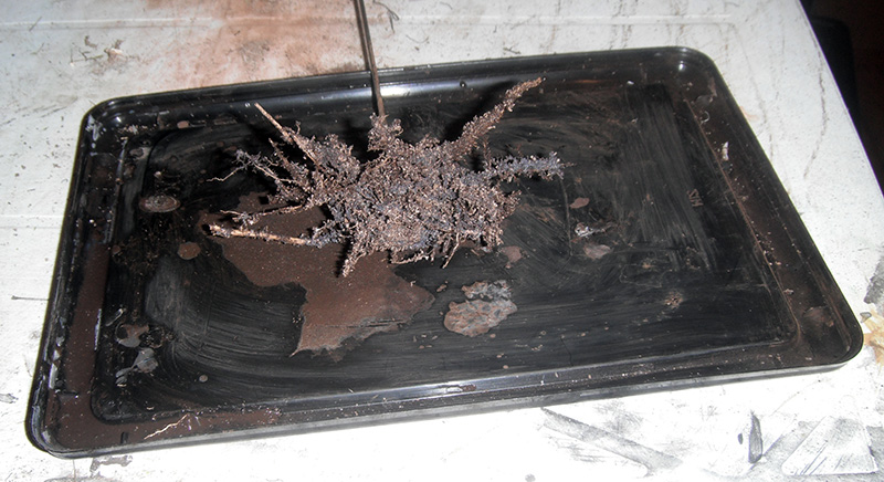 Arbre de maquette en cours de fabrication avec flocage brun sur plateau noir