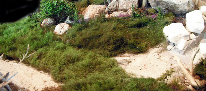 Maquette de terrain herbeux avec rochers, sentier sablonneux et végétation miniature pour le Camp Romain