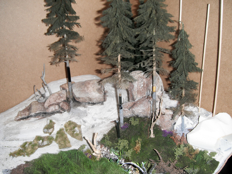 Diorama de maquette avec sapins miniatures et rochers sur terrain rocheux en cours de construction