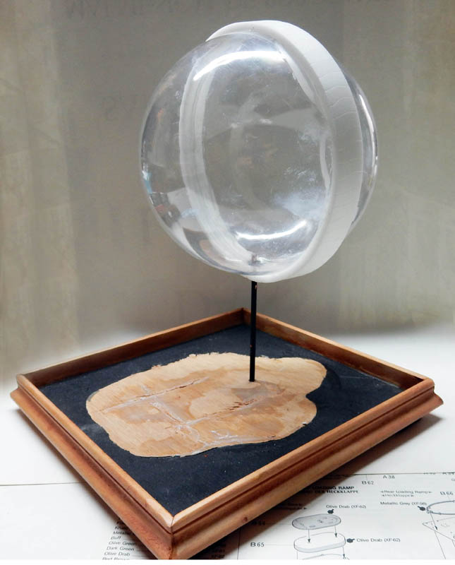 Dôme transparent monté sur tige métallique au-dessus d'un socle en bois pour diorama