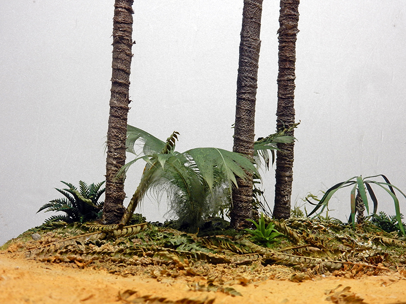 Décor de diorama tropical avec troncs de palmiers, fougères et végétation sur sol sablonneux