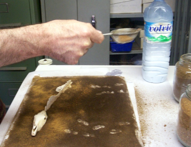 Main saupoudrant du sable à la passoire sur une maquette de terrain près d'une bouteille Volvic