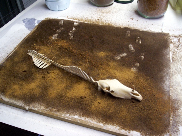 Squelette d'animal fossilisé posé sur un diorama de sable avec empreintes de pas