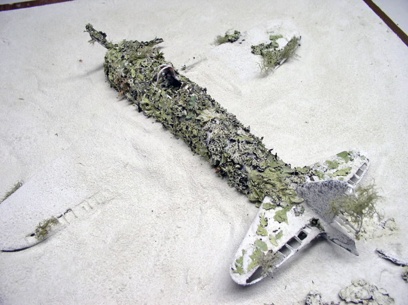 Maquette d'épave de Mitsubishi A6M5 Zero recouverte de lichen sur un sol sablonneux