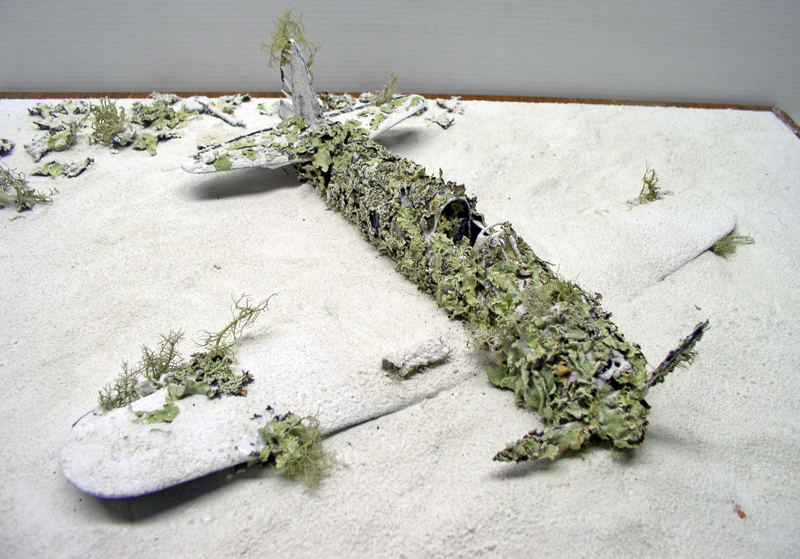 Maquette d'épave de Mitsubishi A6M5 Zero recouverte de mousse et lichen sur diorama sablonneux