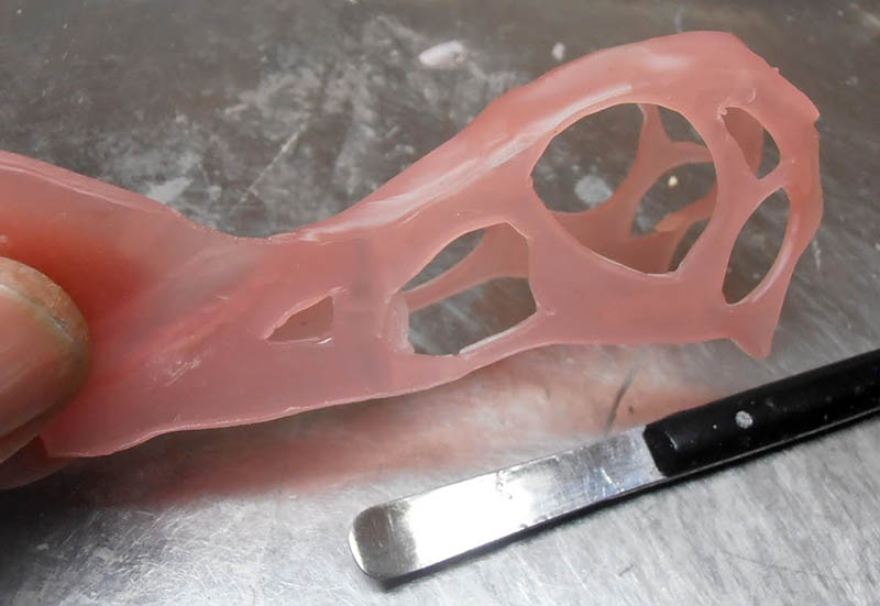 Crâne ajouré de Raeticodactylus en résine rose tenu entre les doigts, spatule de modelage