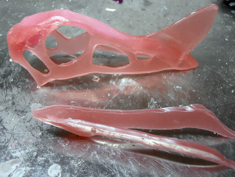 Tirages en résine rose du crâne et de la mâchoire de Raeticodactylus posés sur l'établi