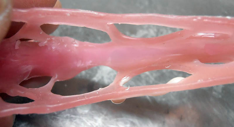 Gros plan sur le crâne ajouré en pâte rose modelée, montrant les fenestrations osseuses