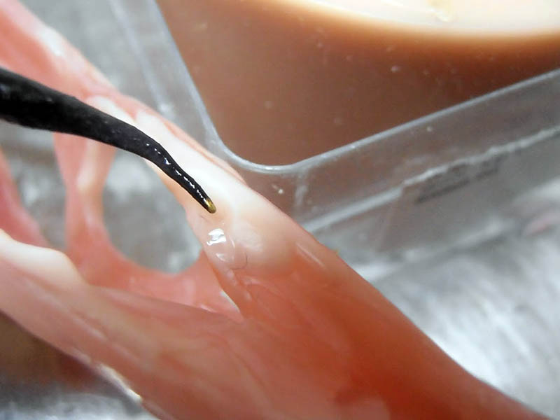 Gros plan sur l'application d'une colle liquide au pinceau fin sur le crâne rosé en modelage