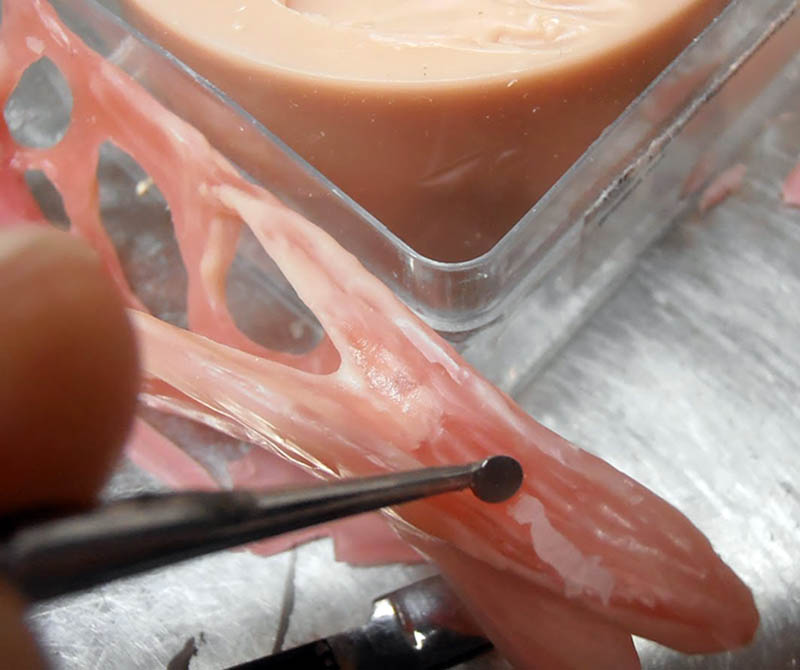 Gros plan sur le ponçage d'un crâne de ptérosaure en résine rose avec fraise rotative