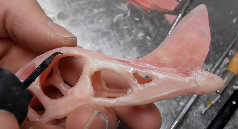 Crâne de Raeticodactylus en pâte modelée tenu entre les doigts, fenestrations ajourées