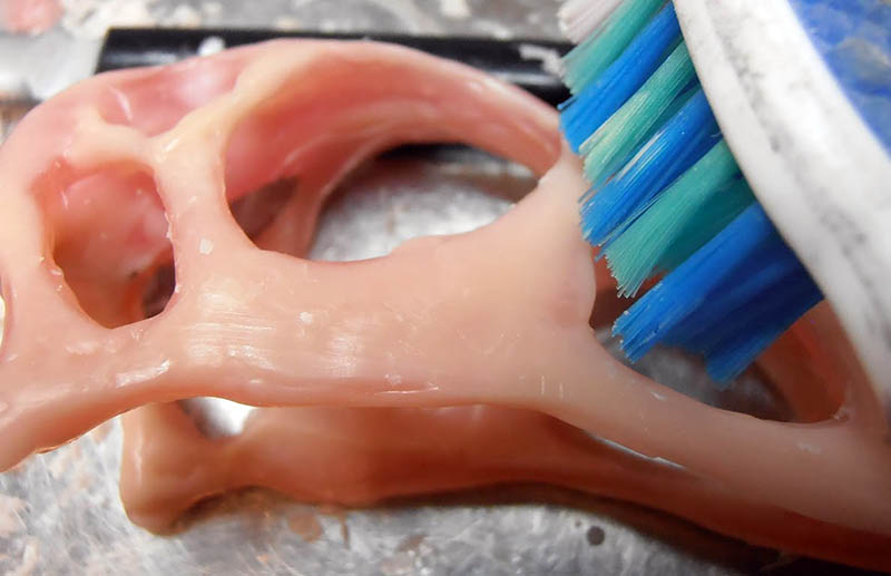 Nettoyage à la brosse à dents du crâne modelé en résine, gros plan sur les fenêtres crâniennes