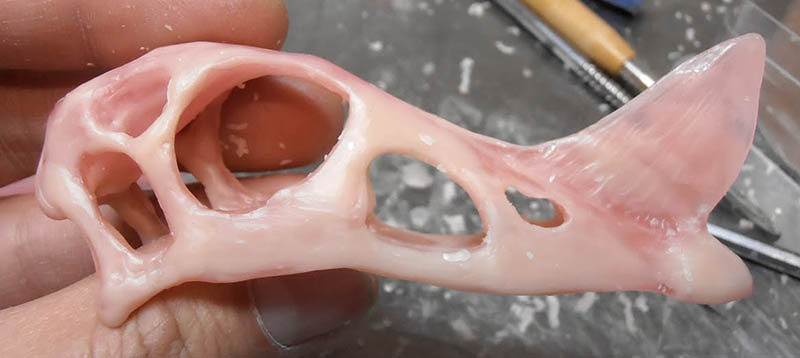 Crâne de Raeticodactylus modelé en pâte rose tenu à la main, orbites et fenestrations ajourées