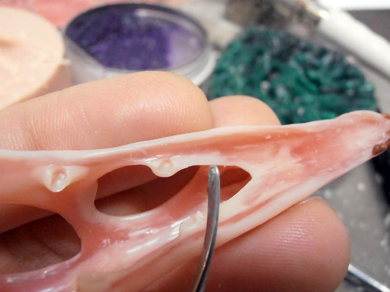 Gros plan sur le crâne de Raeticodactylus en pâte polymère sculpté, tenu entre les doigts