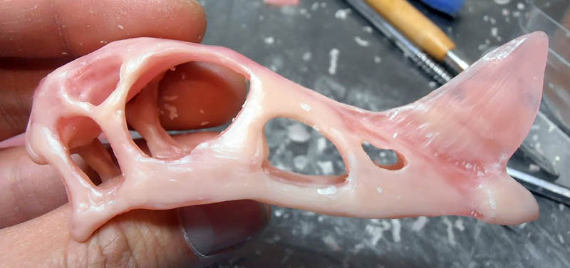 Crâne de Raeticodactylus modelé en pâte rose tenu entre les doigts près des outils