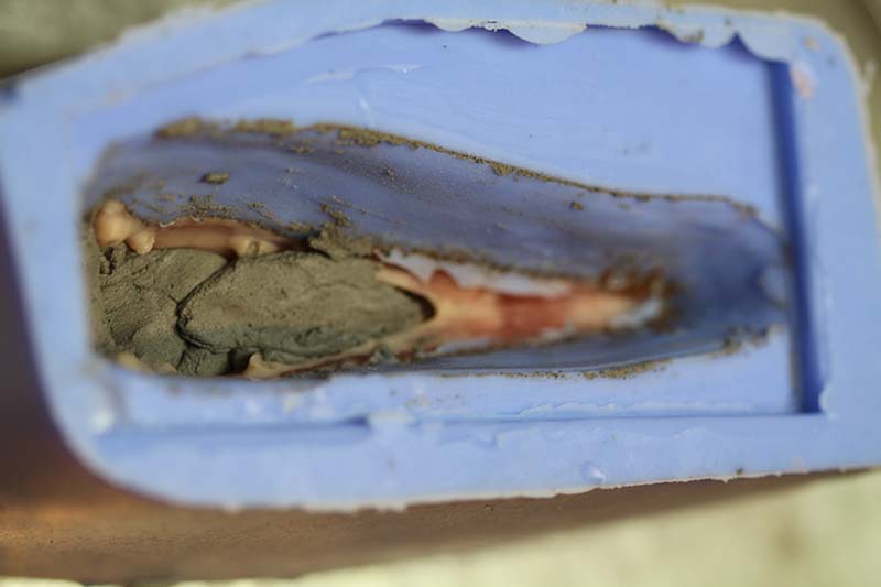 Moule en silicone bleu ouvert révélant l'empreinte du crâne et résidus