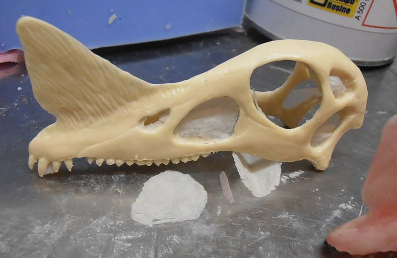 Crâne de dinosaure à crête moulé en résine beige posé sur un plan de travail métallique
