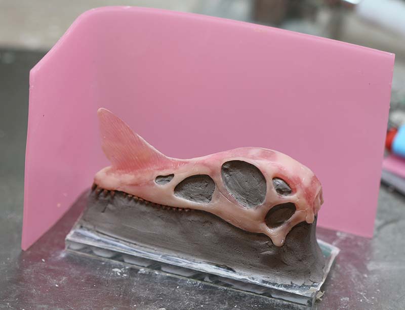 Crâne sculpté à demi enfoui dans la pâte à modeler grise devant un coffrage en silicone rose