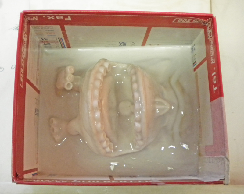 Pièces de maquette enrobées de silicone translucide dans un coffrage en carton rouge