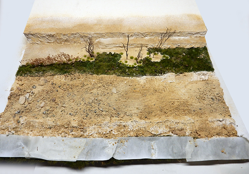 Diorama en cours avec sol sablonneux, bande de végétation verte et arbustes secs miniatures