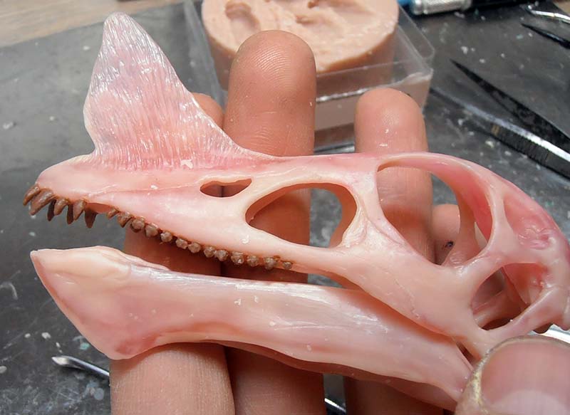 Crâne de dinosaure à crête sculpté en cire rose tenu en main près d'un moule