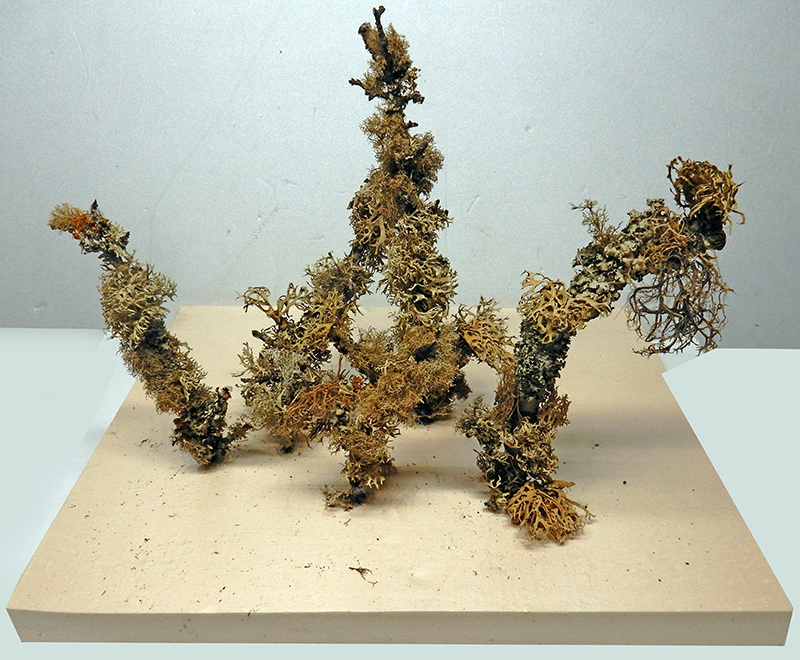 Diorama de maquettisme avec arbres et lichen séché sur un socle clair