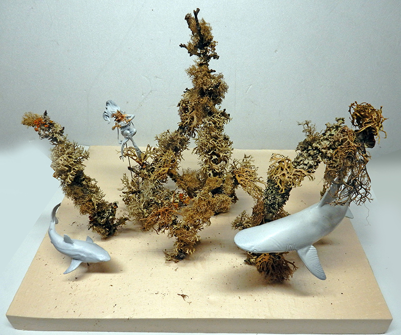 Diorama sous-marin avec deux requins gris et coraux séchés sur socle clair