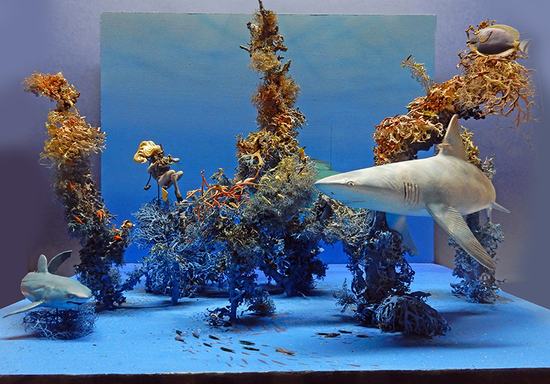 Diorama sous-marin avec deux requins, plongeuse et récif corallien sur fond bleu