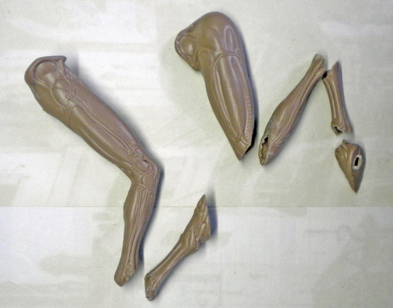 Pièces de maquette Alien 3 non peintes, membres et segments en résine avant assemblage