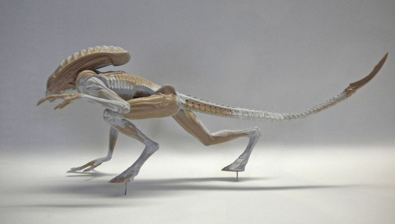 Maquette non peinte du xénomorphe quadrupède d'Alien 3 en posture de marche