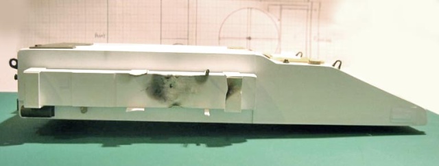 Maquette de la coque inférieure du char antigrav T800 vue de profil en construction
