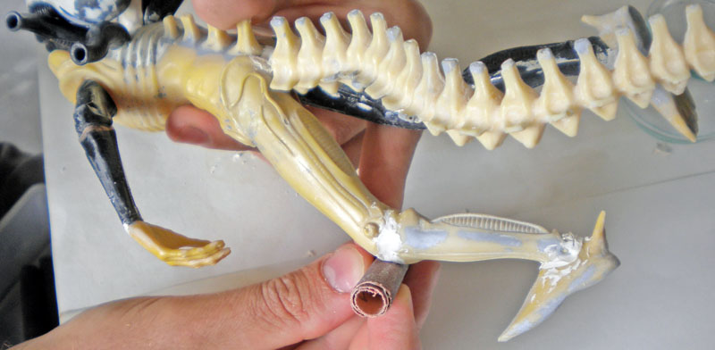 Mains tenant une maquette d'Aqualien en cours de montage avec armature dorsale et tube métallique d'assemblage