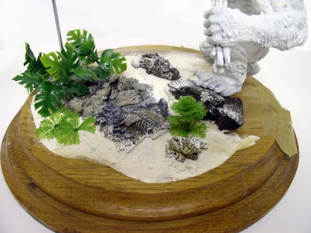 Diorama de maquette avec ossements sur sable, plantes vertes et socle bois verni