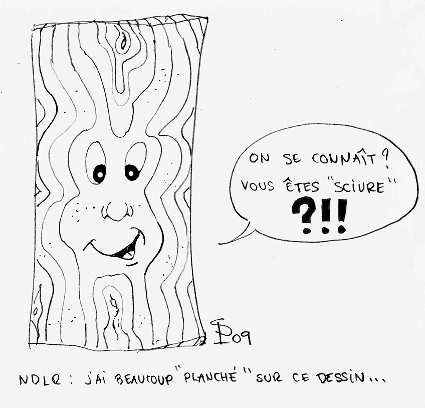 Dessin humoristique d'une planche de bois au visage souriant avec une bulle de dialogue
