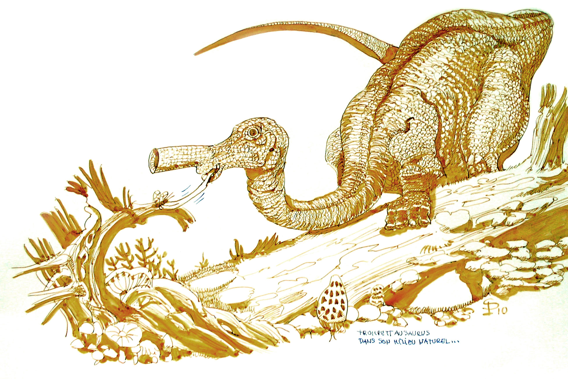 Dessin humoristique sépia d'un Trompettosaurus, dinosaure au museau en trompette, dans la végétation