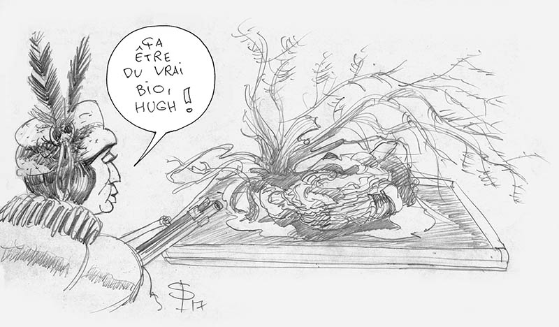 Dessin humoristique au crayon d'un Amérindien observant un décor naturel de maquette avec végétation