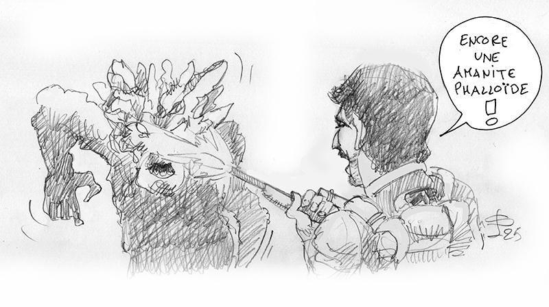 Dessin humoristique au crayon montrant un personnage armé visant une créature, bulle « encore une amanite phalloïde »