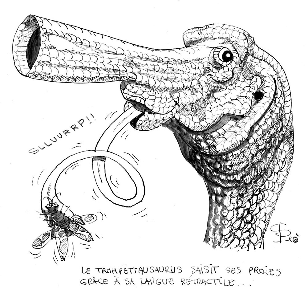 Dessin humoristique du Trompettosaurus capturant un insecte avec sa longue langue rétractile en forme de trompette